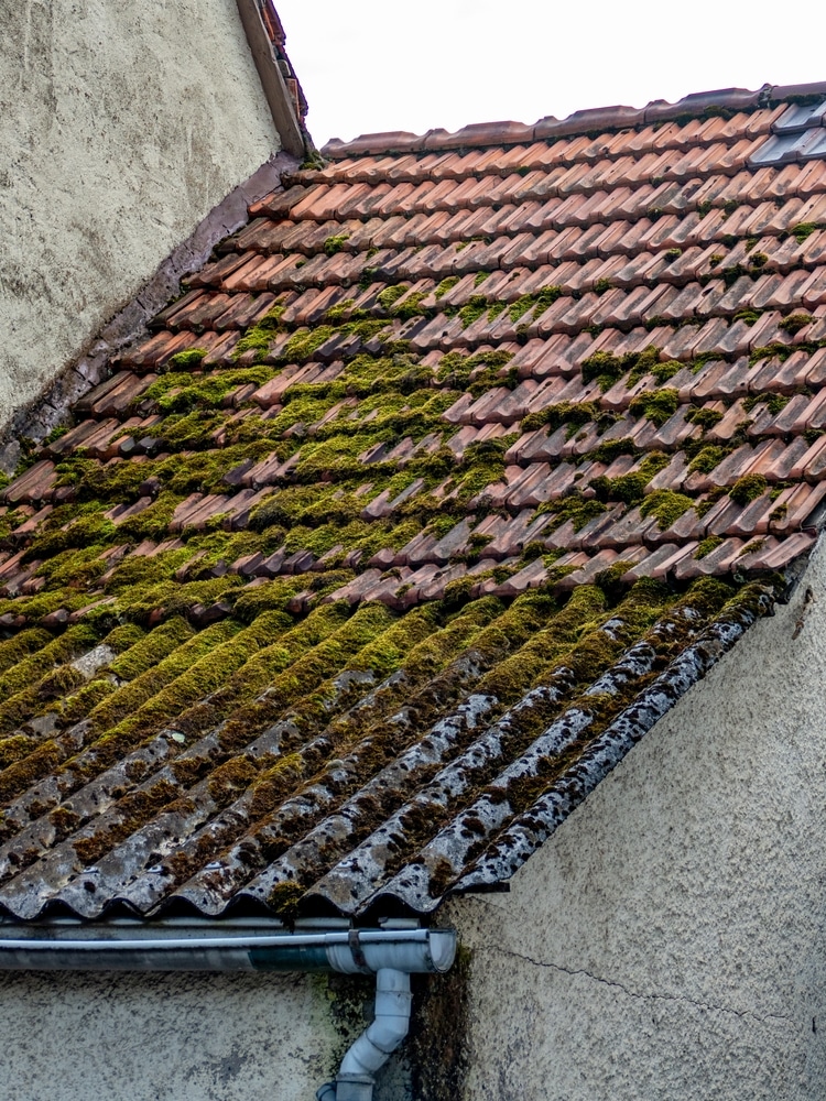 Toiture en tuiles avec mousse et plaques ondulées Toiture en tuiles terre cuite et plaques ondulées couvertes de mousse verte, avec gouttière blanche.